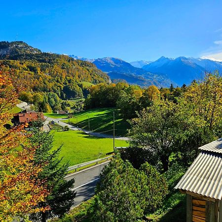 Gemuetliche Fewo Mit Sauna Inmitten Der Berge Meiringen Dış mekan fotoğraf