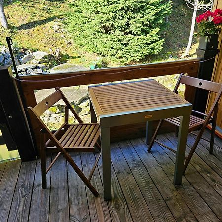 Gemuetliche Fewo Mit Sauna Inmitten Der Berge Meiringen Dış mekan fotoğraf