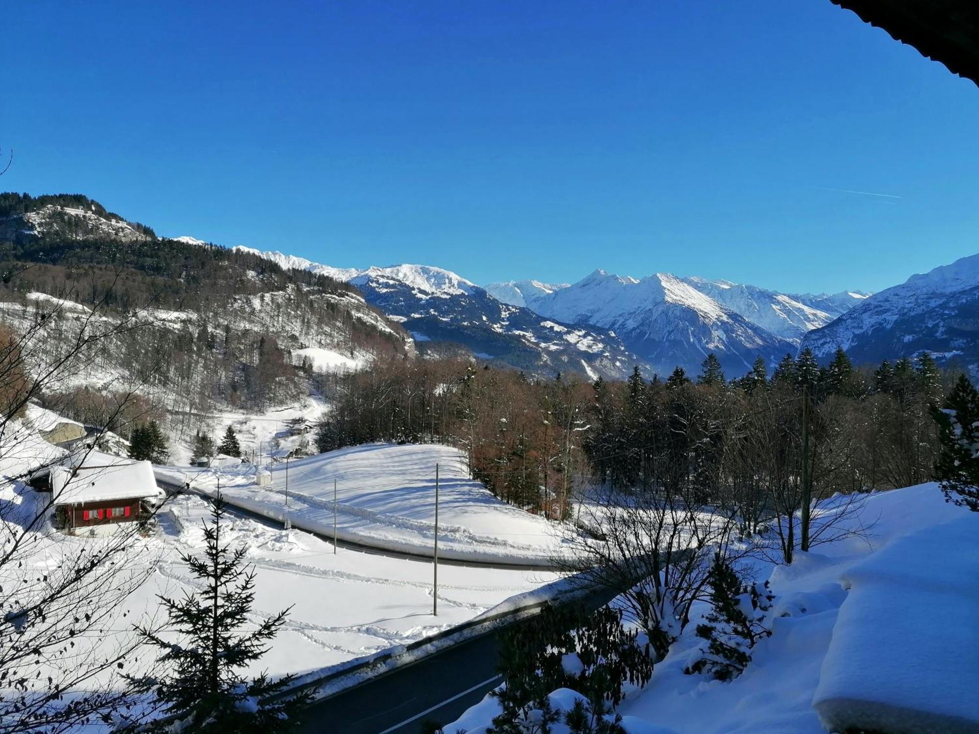 Gemuetliche Fewo Mit Sauna Inmitten Der Berge Meiringen Dış mekan fotoğraf