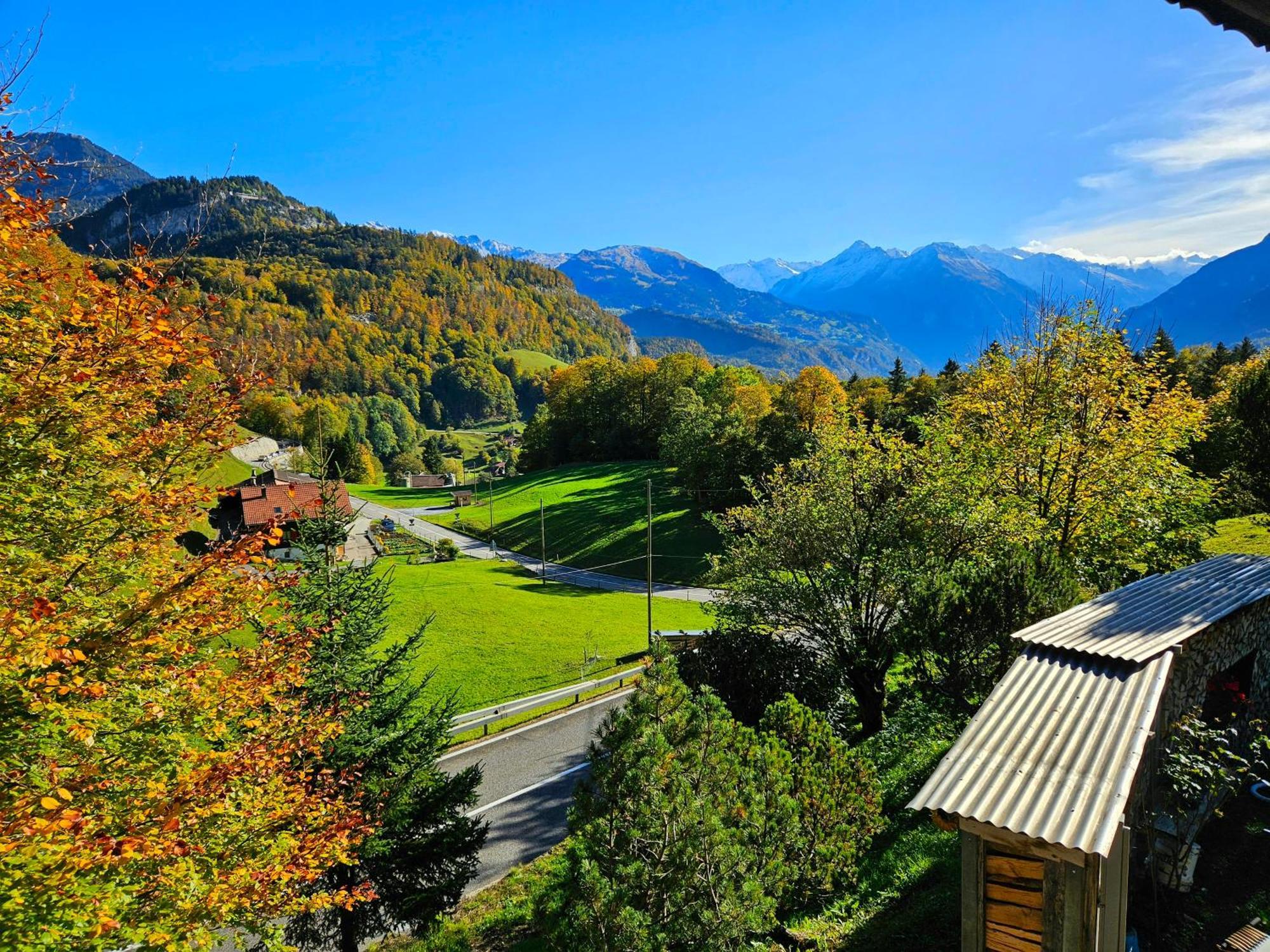 Gemuetliche Fewo Mit Sauna Inmitten Der Berge Meiringen Dış mekan fotoğraf