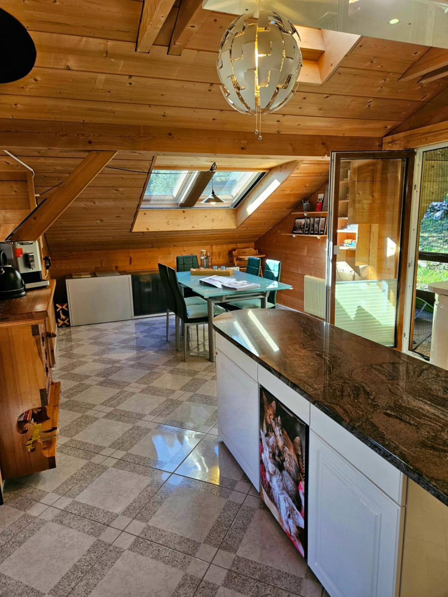 Gemuetliche Fewo Mit Sauna Inmitten Der Berge Meiringen Dış mekan fotoğraf
