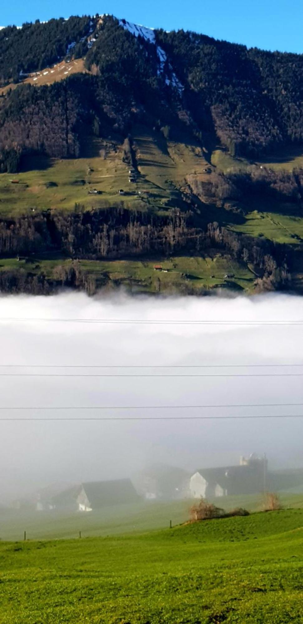 Gemuetliche Fewo Mit Sauna Inmitten Der Berge Meiringen Dış mekan fotoğraf