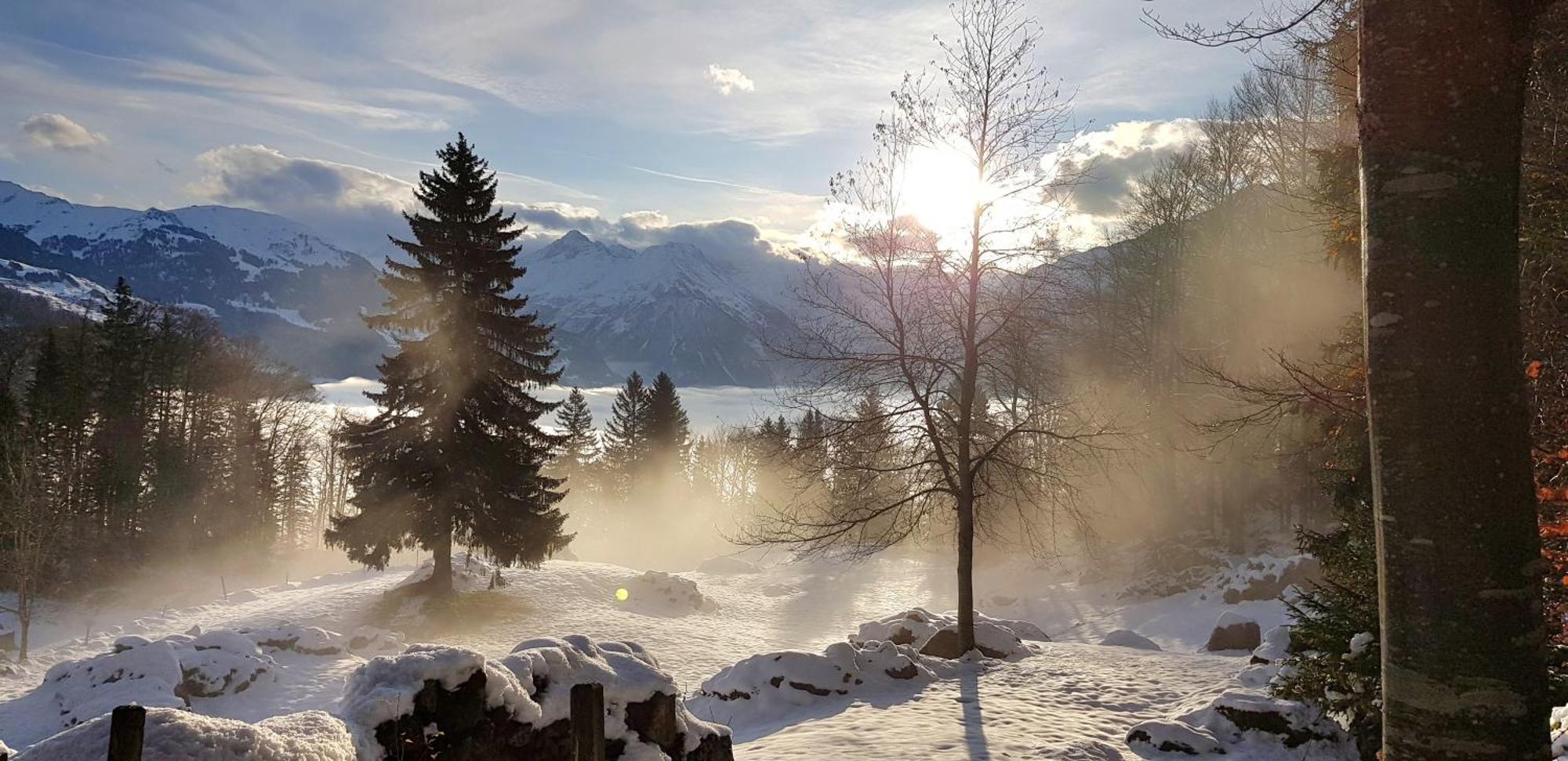 Gemuetliche Fewo Mit Sauna Inmitten Der Berge Meiringen Dış mekan fotoğraf