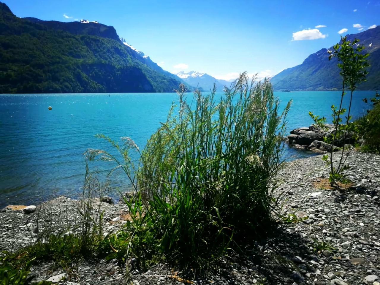 Gemuetliche Fewo Mit Sauna Inmitten Der Berge Meiringen Dış mekan fotoğraf