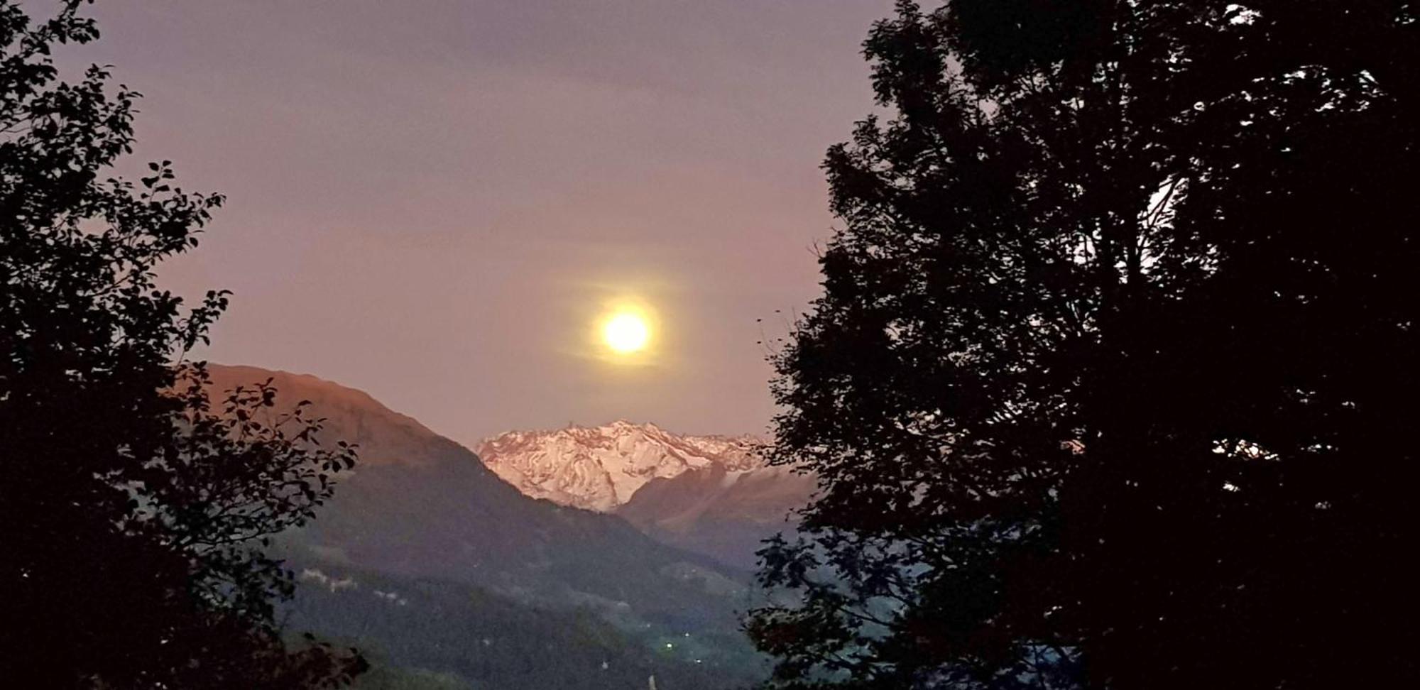 Gemuetliche Fewo Mit Sauna Inmitten Der Berge Meiringen Dış mekan fotoğraf