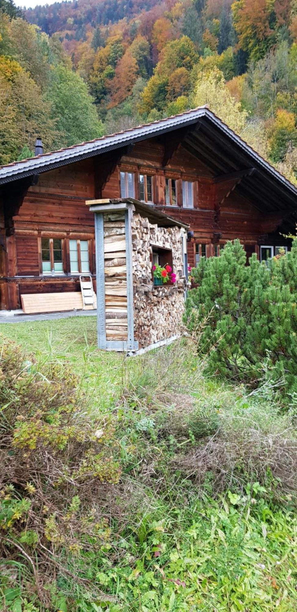 Gemuetliche Fewo Mit Sauna Inmitten Der Berge Meiringen Dış mekan fotoğraf