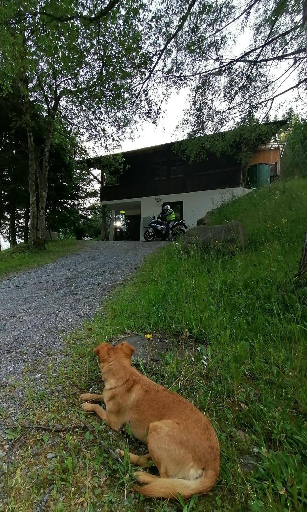 Gemuetliche Fewo Mit Sauna Inmitten Der Berge Meiringen Dış mekan fotoğraf