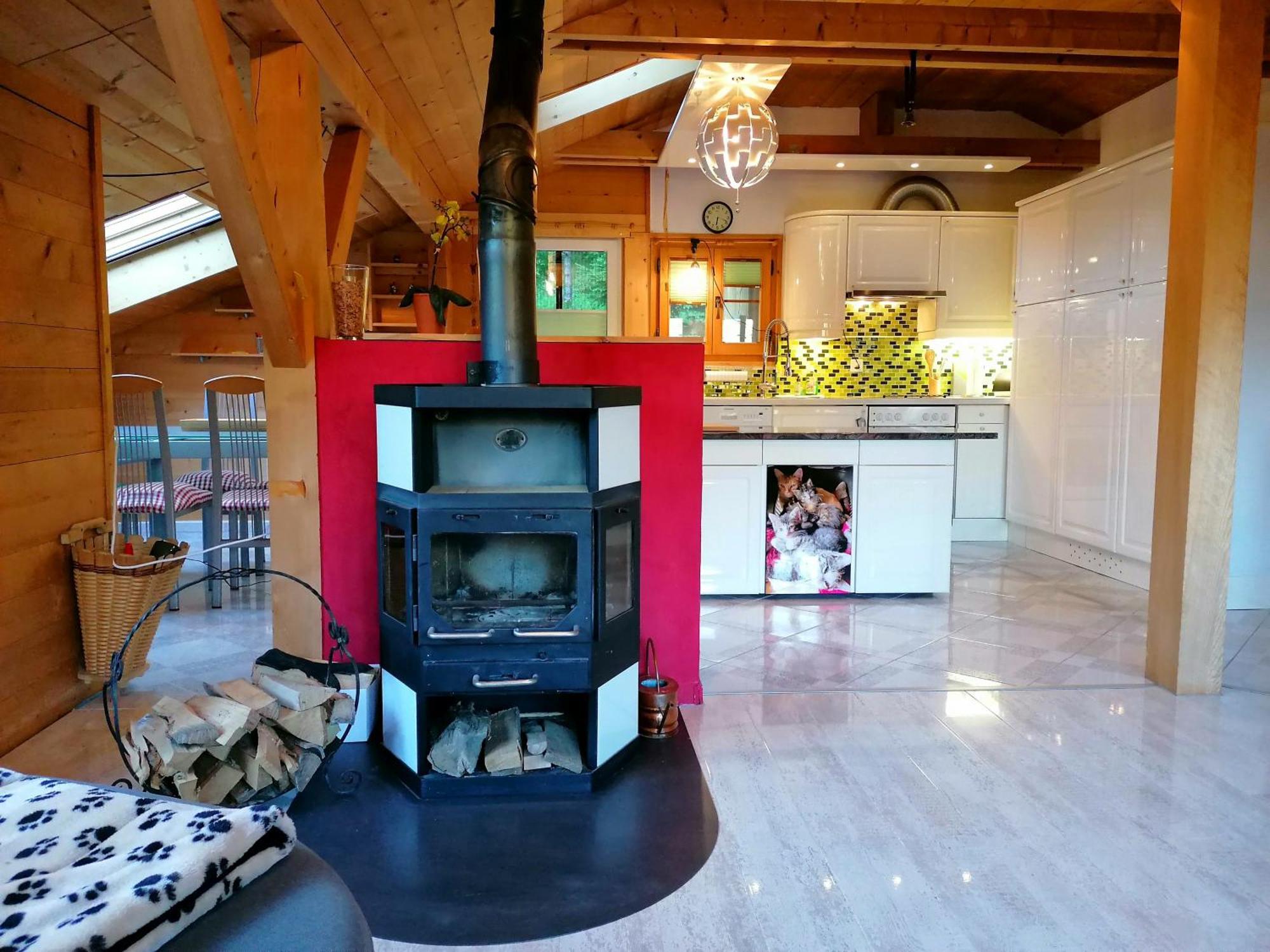 Gemuetliche Fewo Mit Sauna Inmitten Der Berge Meiringen Dış mekan fotoğraf