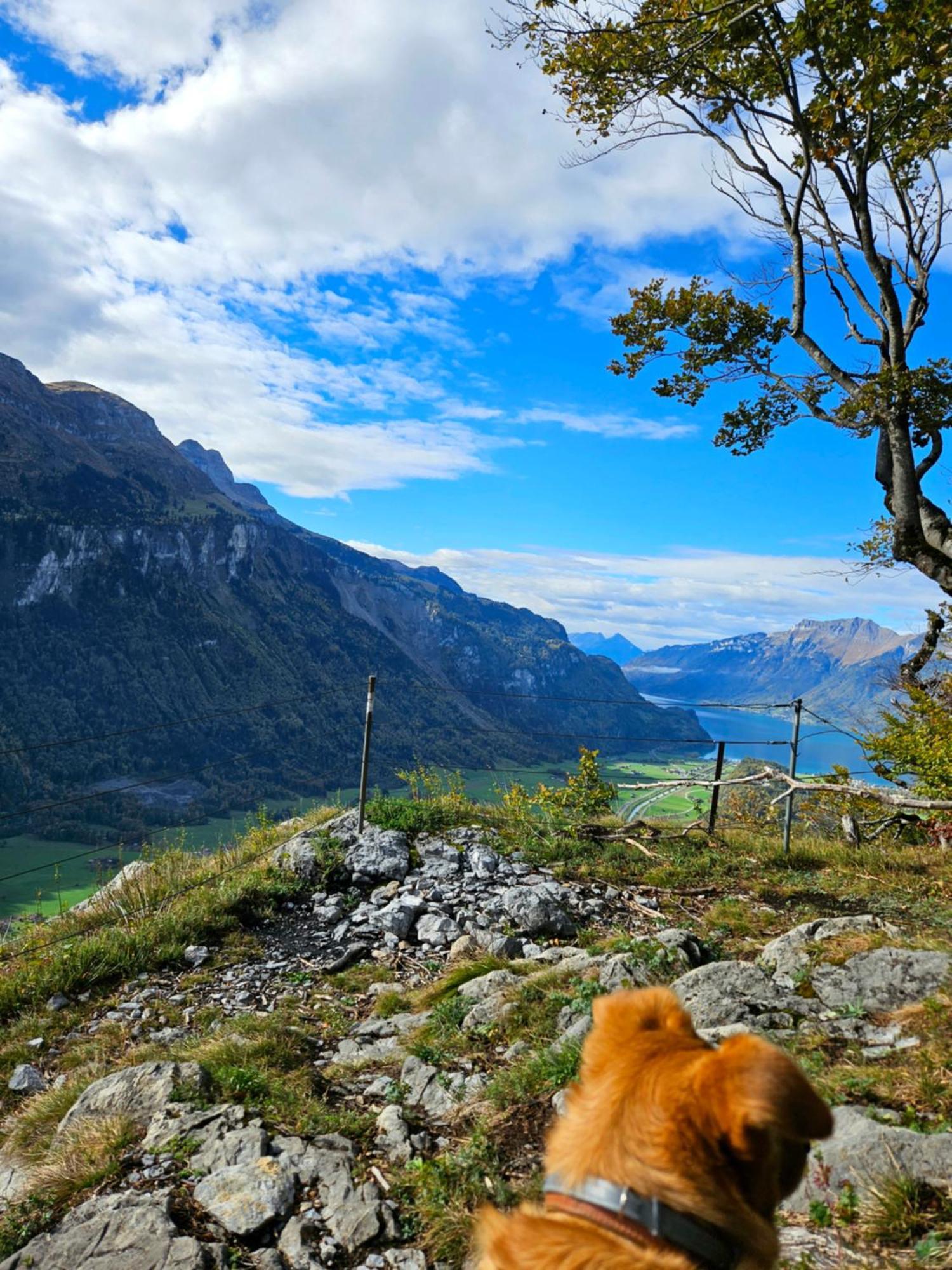 Gemuetliche Fewo Mit Sauna Inmitten Der Berge Meiringen Dış mekan fotoğraf